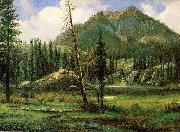 Albert Bierstadt Sierra_Nevada_Mountains Sweden oil painting artist